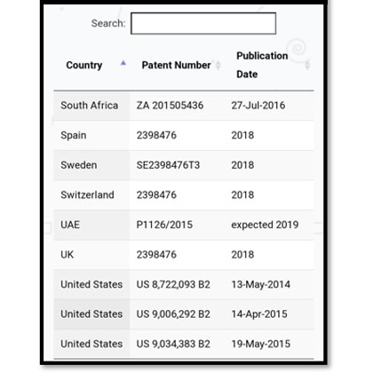 global-patent-1