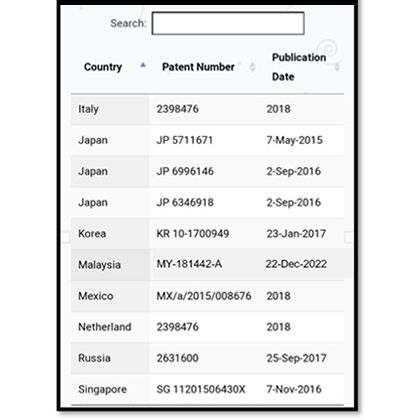 global-patent-2