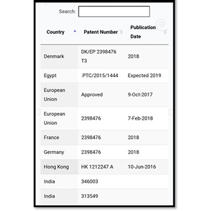 global-patent-3