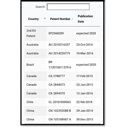 global-patent-4